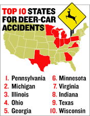 deercrashesbystate